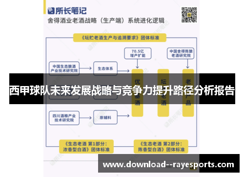 西甲球队未来发展战略与竞争力提升路径分析报告 西甲球队未来发展战略与竞争力提升路径分析报告